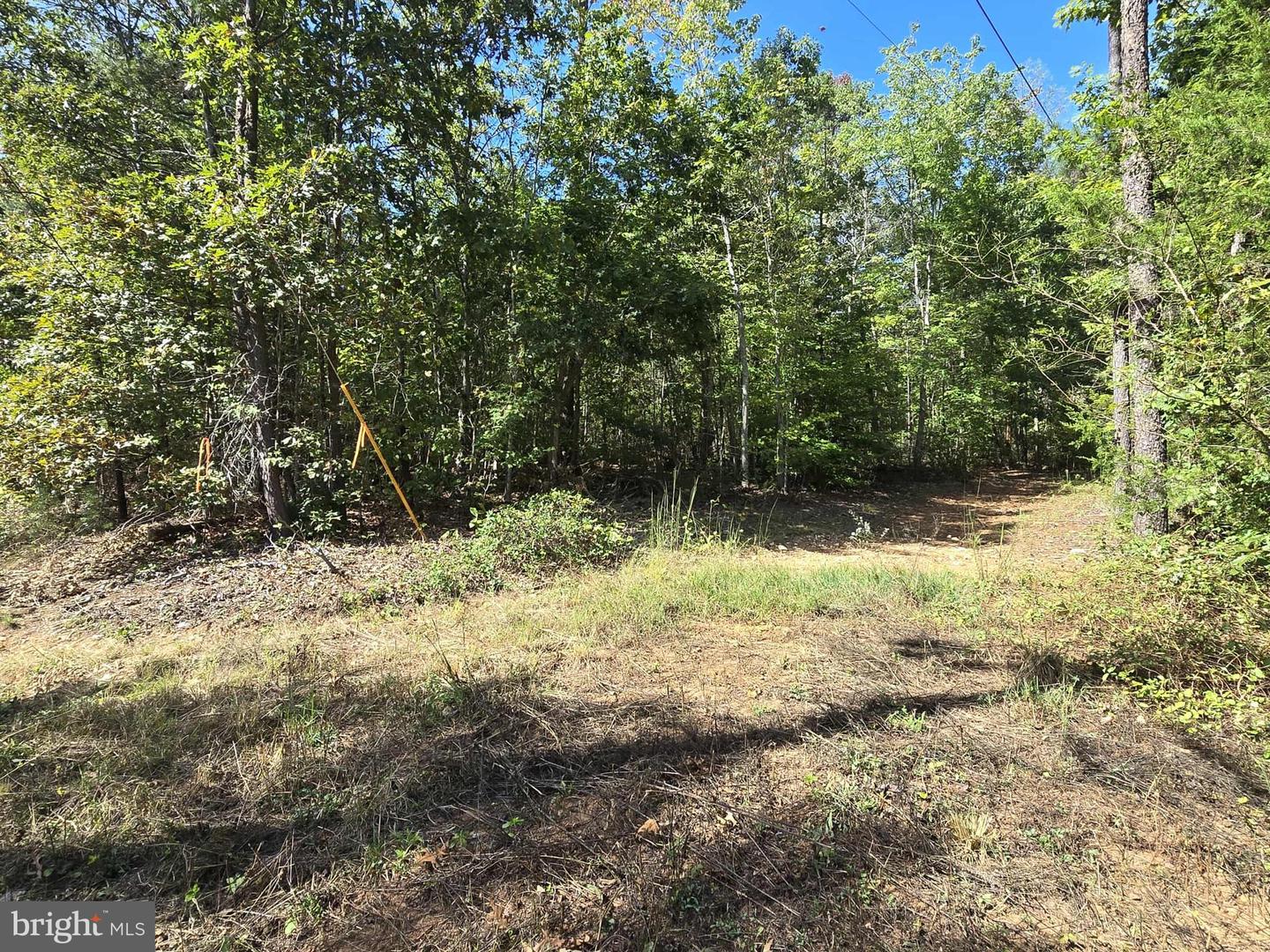 HURT HOLLOW RD, BANCO, Virginia 22711, ,Land,For sale,HURT HOLLOW RD,VAMA2002482 MLS # VAMA2002482