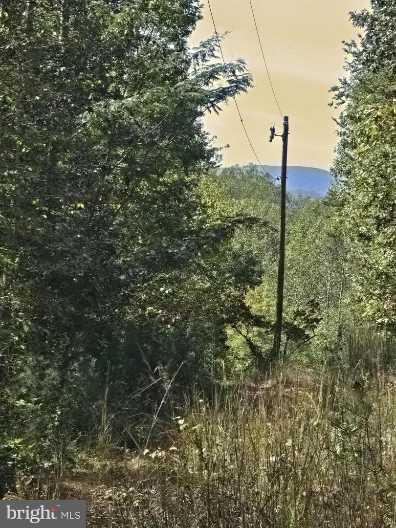 HURT HOLLOW RD, BANCO, Virginia 22711, ,Land,For sale,HURT HOLLOW RD,VAMA2002482 MLS # VAMA2002482