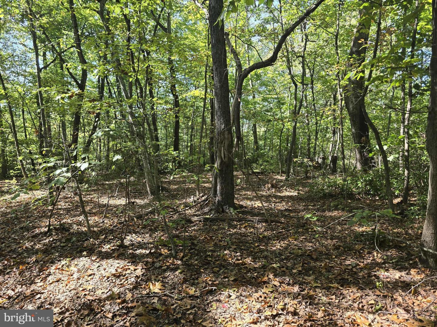 HURT HOLLOW RD, BANCO, Virginia 22711, ,Land,For sale,HURT HOLLOW RD,VAMA2002482 MLS # VAMA2002482