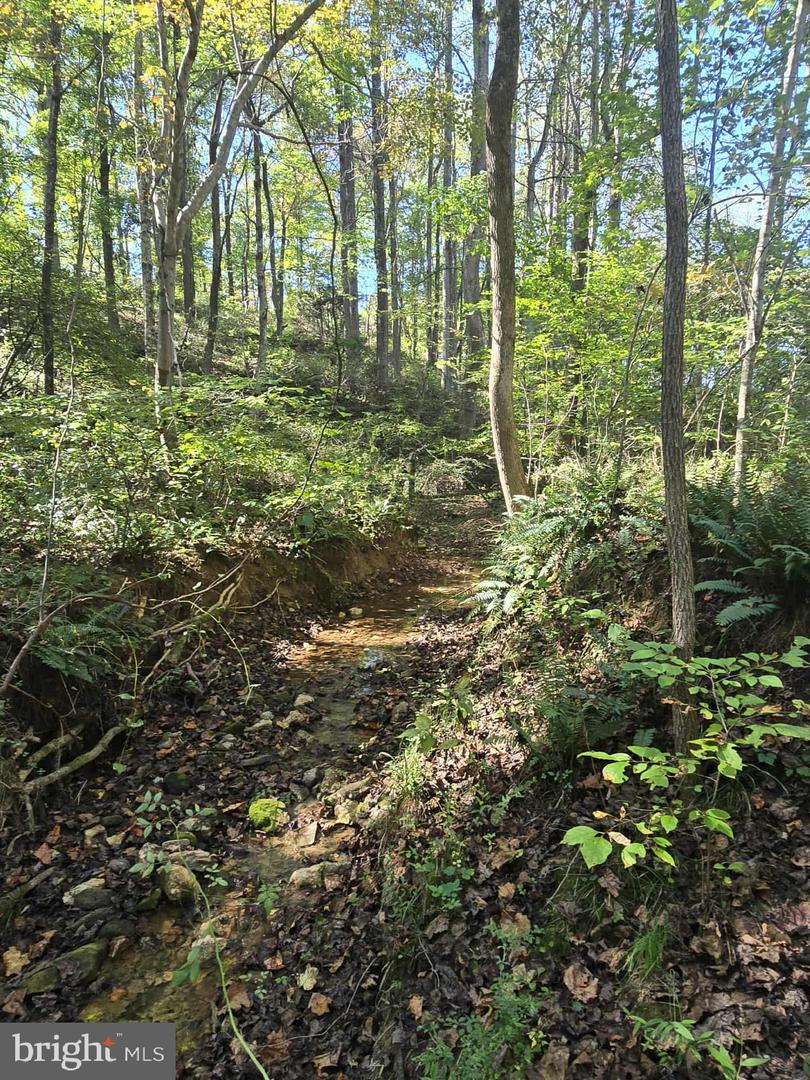HURT HOLLOW RD, BANCO, Virginia 22711, ,Land,For sale,HURT HOLLOW RD,VAMA2002482 MLS # VAMA2002482