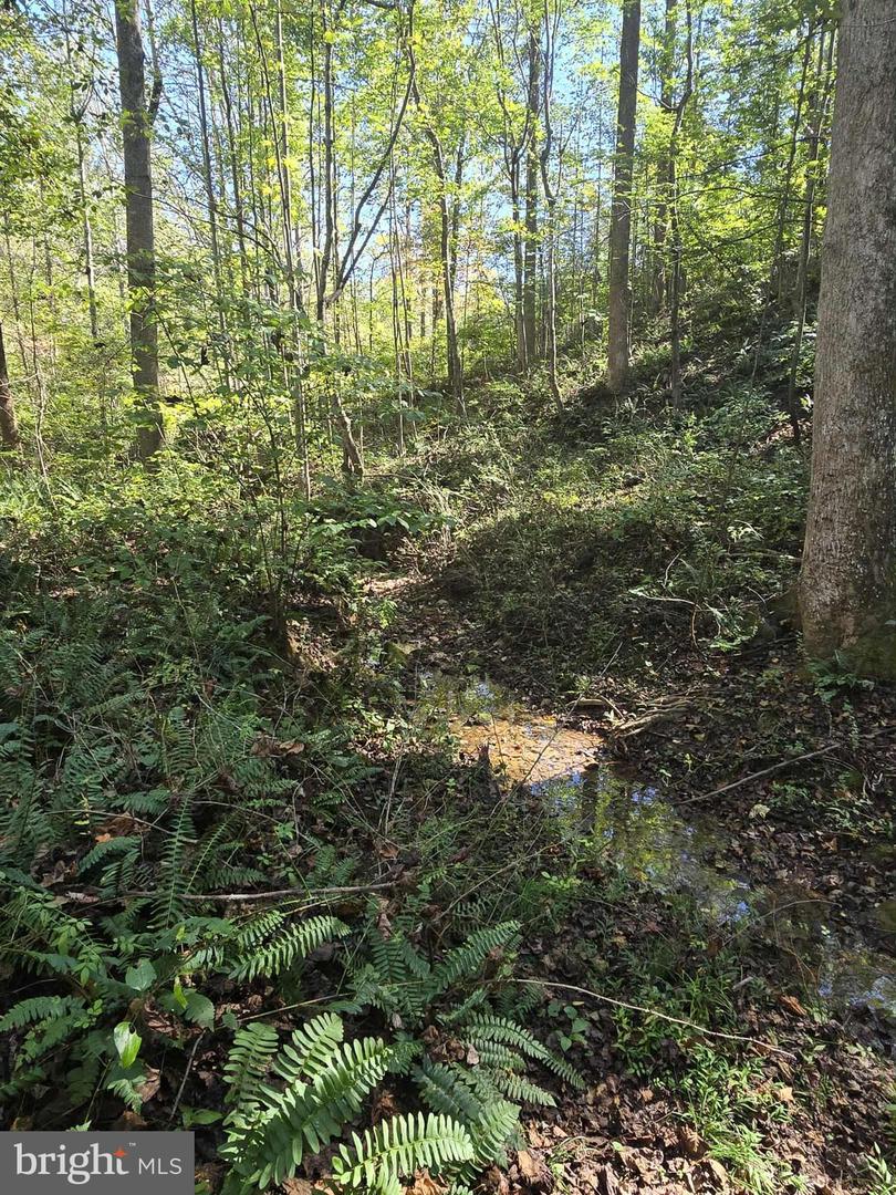 HURT HOLLOW RD, BANCO, Virginia 22711, ,Land,For sale,HURT HOLLOW RD,VAMA2002482 MLS # VAMA2002482