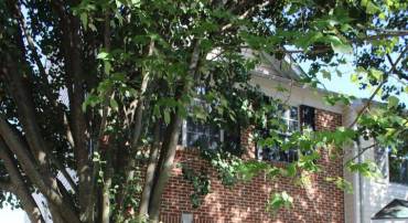 510 GINKGO TER NE, LEESBURG, Virginia 20176, 4 Bedrooms Bedrooms, ,3 BathroomsBathrooms,Residential,For sale,510 GINKGO TER NE,VALO2104682 MLS # VALO2104682
