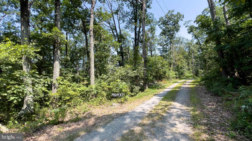 440 IRIS LN, WINCHESTER, Virginia 22602, ,Land,For sale,440 IRIS LN,VAFV2037264 MLS # VAFV2037264