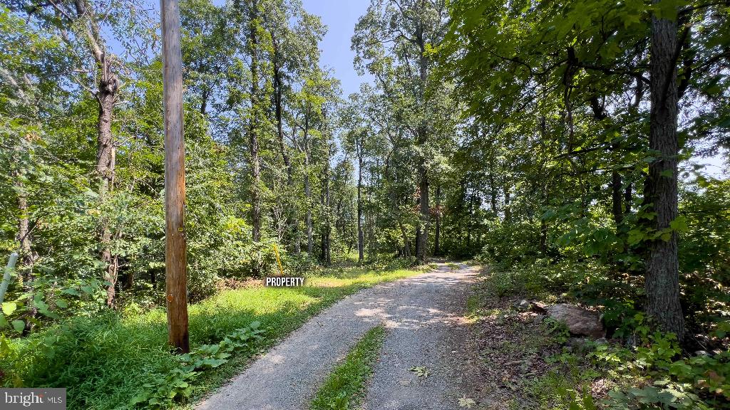 440 IRIS LN, WINCHESTER, Virginia 22602, ,Land,For sale,440 IRIS LN,VAFV2037264 MLS # VAFV2037264
