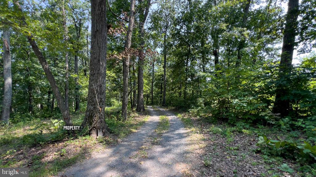 440 IRIS LN, WINCHESTER, Virginia 22602, ,Land,For sale,440 IRIS LN,VAFV2037264 MLS # VAFV2037264