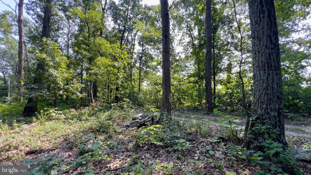 440 IRIS LN, WINCHESTER, Virginia 22602, ,Land,For sale,440 IRIS LN,VAFV2037264 MLS # VAFV2037264