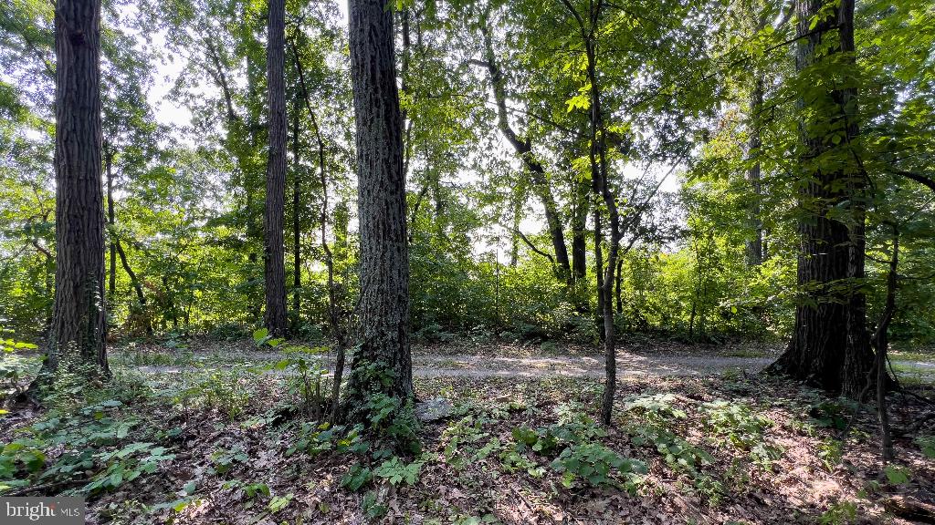 440 IRIS LN, WINCHESTER, Virginia 22602, ,Land,For sale,440 IRIS LN,VAFV2037264 MLS # VAFV2037264