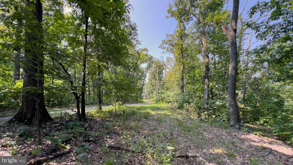 440 IRIS LN, WINCHESTER, Virginia 22602, ,Land,For sale,440 IRIS LN,VAFV2037264 MLS # VAFV2037264