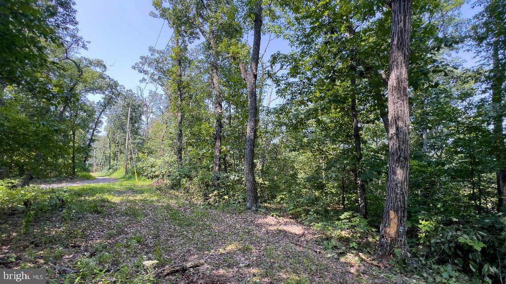 440 IRIS LN, WINCHESTER, Virginia 22602, ,Land,For sale,440 IRIS LN,VAFV2037264 MLS # VAFV2037264