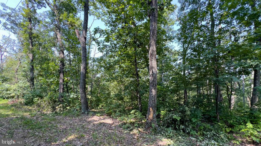 440 IRIS LN, WINCHESTER, Virginia 22602, ,Land,For sale,440 IRIS LN,VAFV2037264 MLS # VAFV2037264
