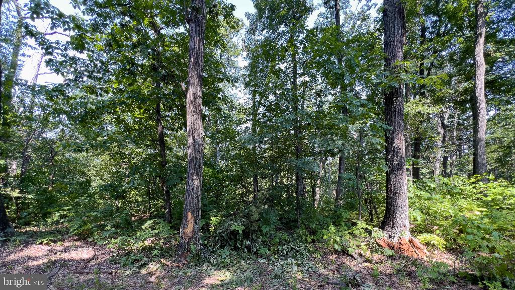 440 IRIS LN, WINCHESTER, Virginia 22602, ,Land,For sale,440 IRIS LN,VAFV2037264 MLS # VAFV2037264