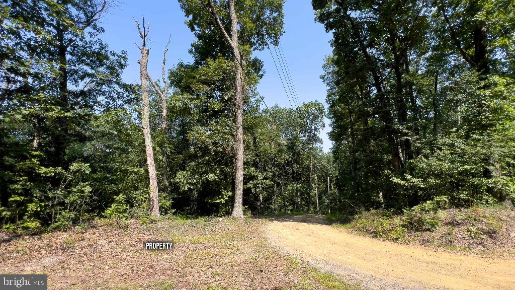 440 IRIS LN, WINCHESTER, Virginia 22602, ,Land,For sale,440 IRIS LN,VAFV2037264 MLS # VAFV2037264