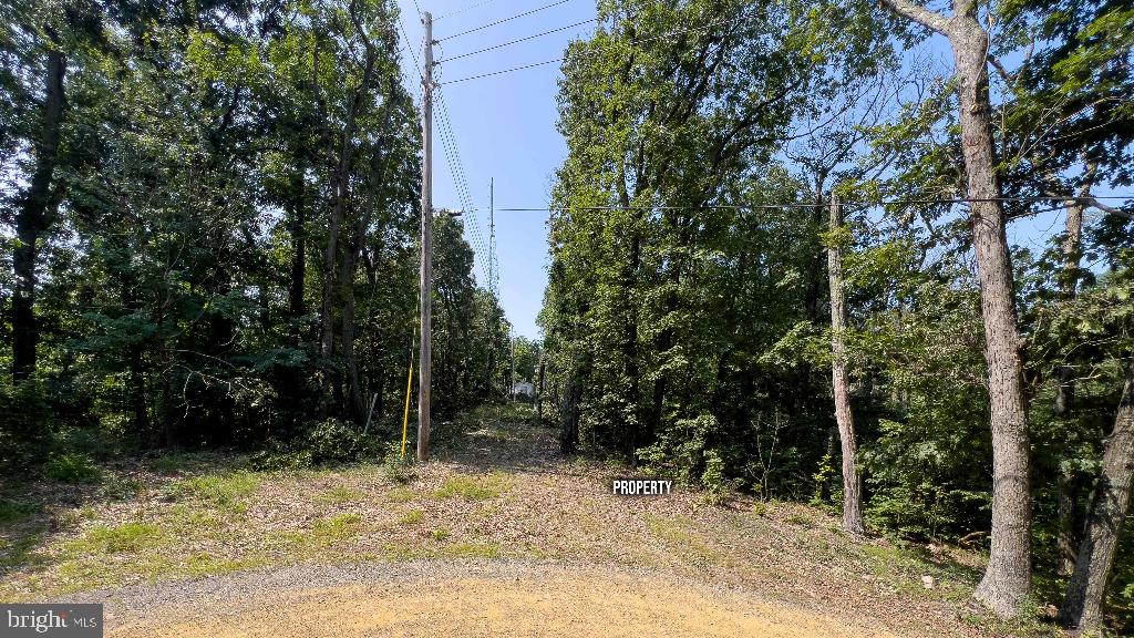440 IRIS LN, WINCHESTER, Virginia 22602, ,Land,For sale,440 IRIS LN,VAFV2037264 MLS # VAFV2037264