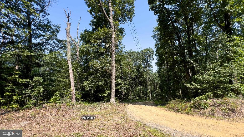 440 IRIS LN, WINCHESTER, Virginia 22602, ,Land,For sale,440 IRIS LN,VAFV2037264 MLS # VAFV2037264