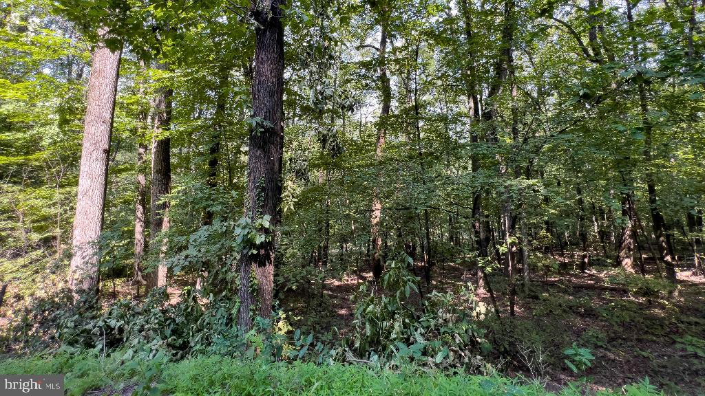 440 IRIS LN, WINCHESTER, Virginia 22602, ,Land,For sale,440 IRIS LN,VAFV2037264 MLS # VAFV2037264