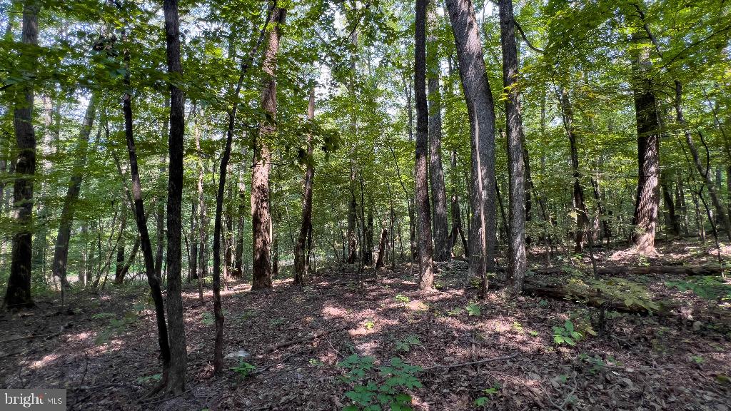 440 IRIS LN, WINCHESTER, Virginia 22602, ,Land,For sale,440 IRIS LN,VAFV2037264 MLS # VAFV2037264