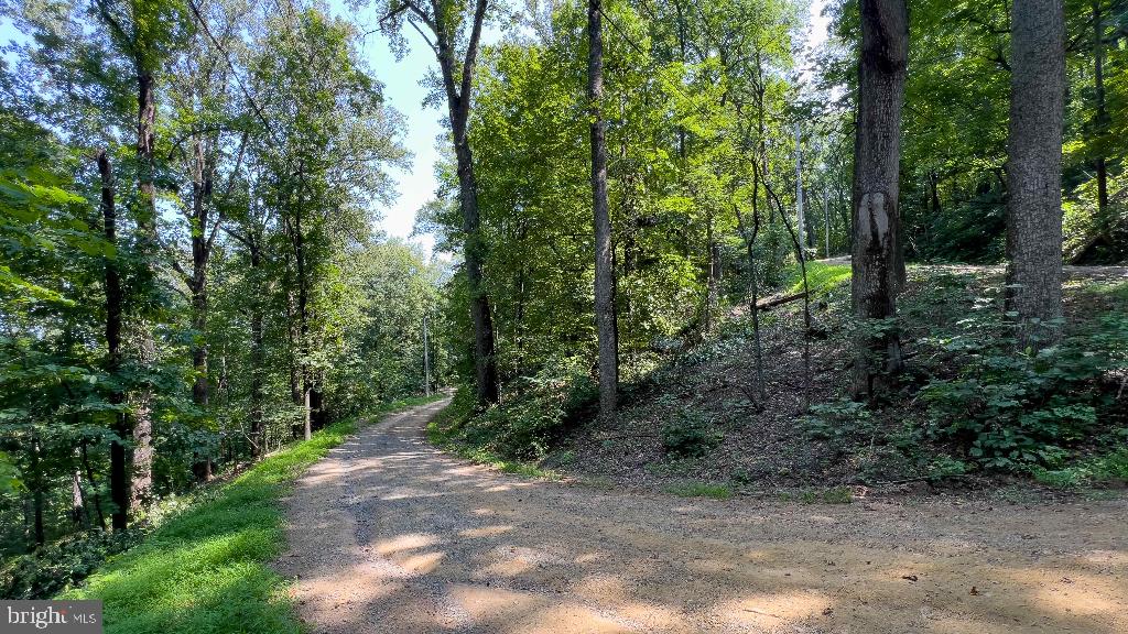 440 IRIS LN, WINCHESTER, Virginia 22602, ,Land,For sale,440 IRIS LN,VAFV2037264 MLS # VAFV2037264