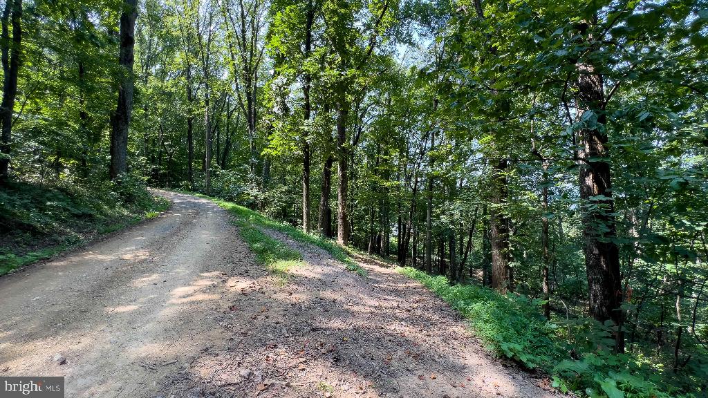 440 IRIS LN, WINCHESTER, Virginia 22602, ,Land,For sale,440 IRIS LN,VAFV2037264 MLS # VAFV2037264