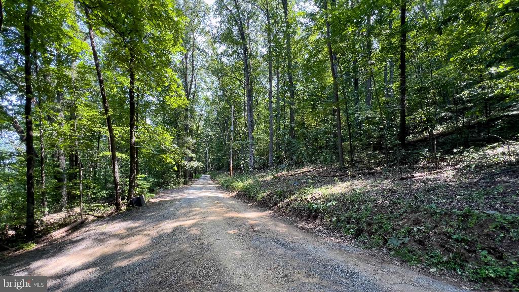 440 IRIS LN, WINCHESTER, Virginia 22602, ,Land,For sale,440 IRIS LN,VAFV2037264 MLS # VAFV2037264