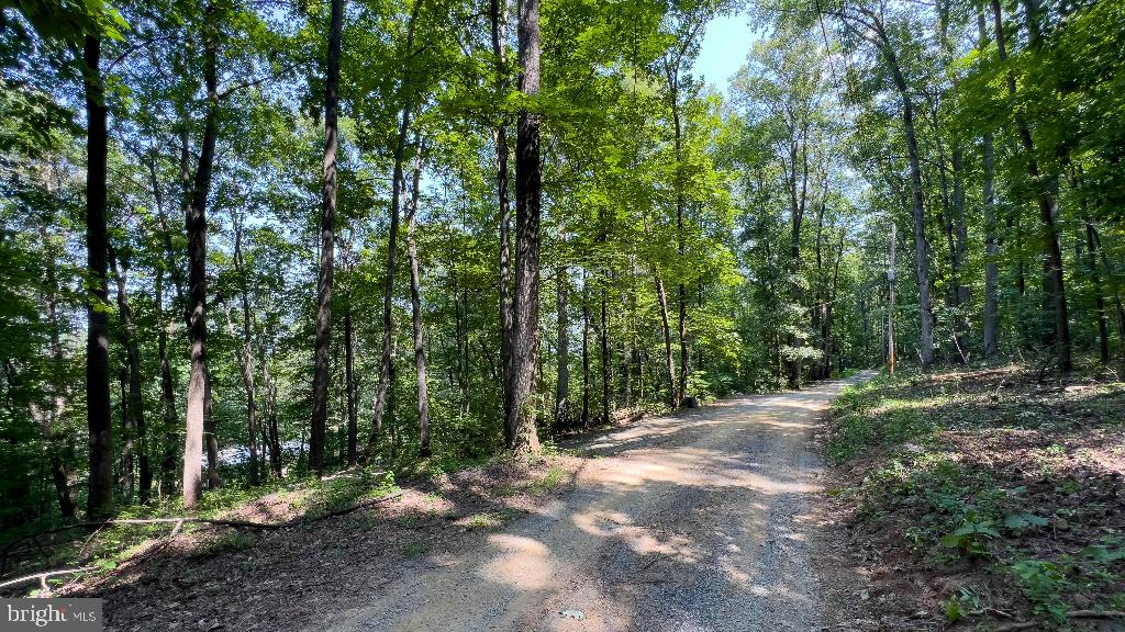 440 IRIS LN, WINCHESTER, Virginia 22602, ,Land,For sale,440 IRIS LN,VAFV2037264 MLS # VAFV2037264