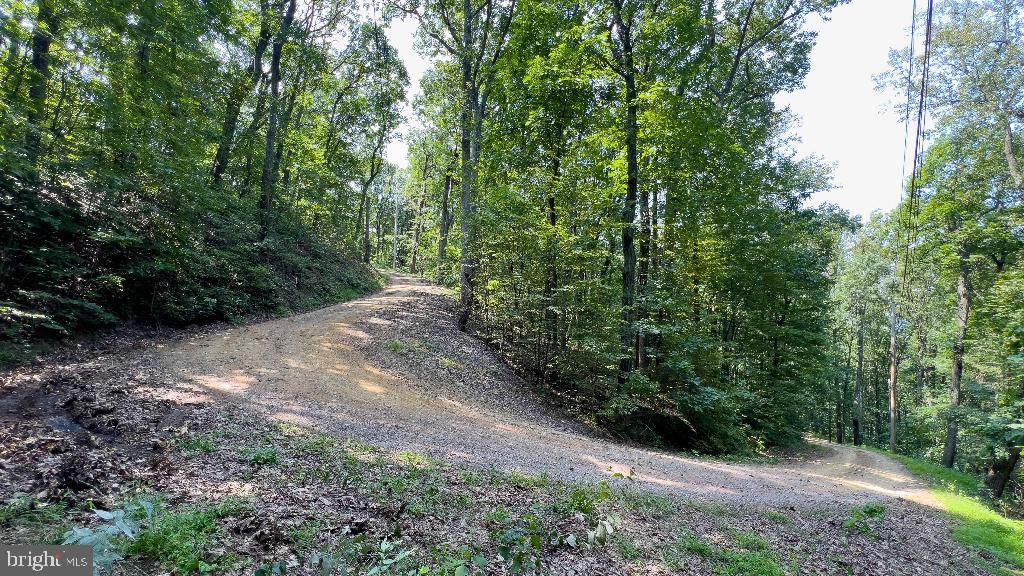 440 IRIS LN, WINCHESTER, Virginia 22602, ,Land,For sale,440 IRIS LN,VAFV2037264 MLS # VAFV2037264
