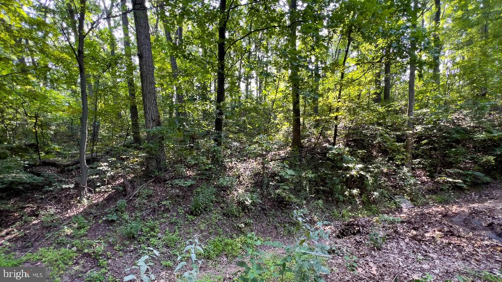440 IRIS LN, WINCHESTER, Virginia 22602, ,Land,For sale,440 IRIS LN,VAFV2037264 MLS # VAFV2037264