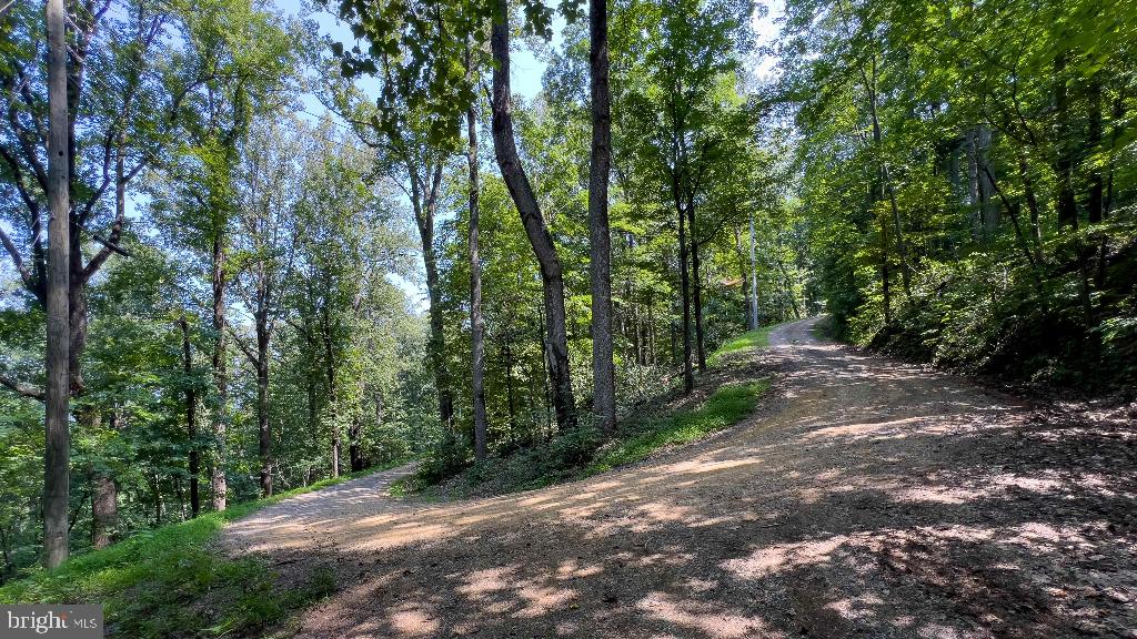440 IRIS LN, WINCHESTER, Virginia 22602, ,Land,For sale,440 IRIS LN,VAFV2037264 MLS # VAFV2037264