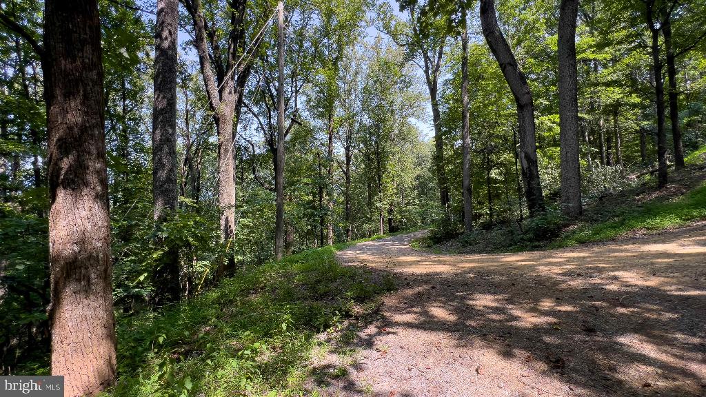 440 IRIS LN, WINCHESTER, Virginia 22602, ,Land,For sale,440 IRIS LN,VAFV2037264 MLS # VAFV2037264