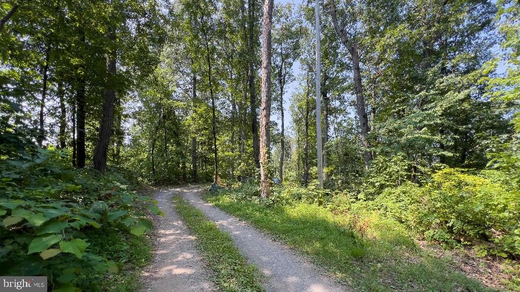 440 IRIS LN, WINCHESTER, Virginia 22602, ,Land,For sale,440 IRIS LN,VAFV2037264 MLS # VAFV2037264