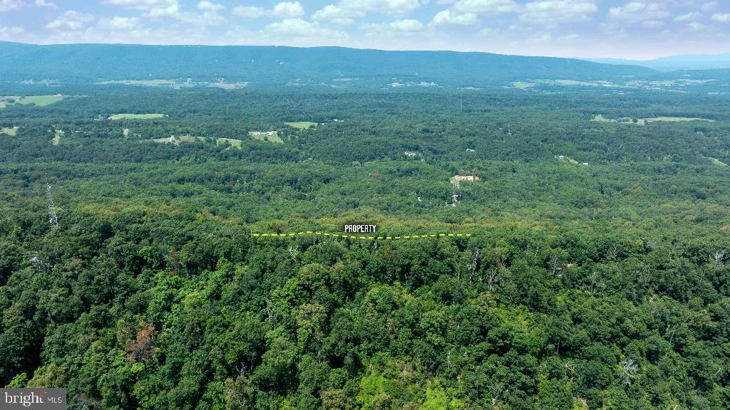 440 IRIS LN, WINCHESTER, Virginia 22602, ,Land,For sale,440 IRIS LN,VAFV2037264 MLS # VAFV2037264