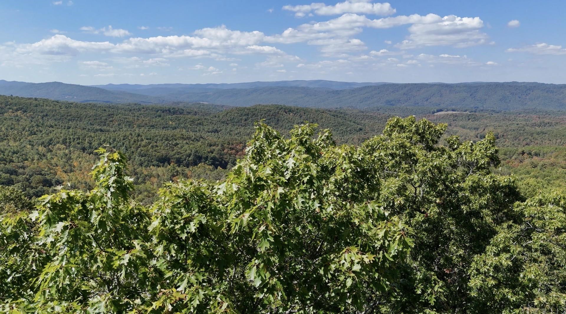 tbd CADDIS LN, WARM SPRINGS, Virginia 24484, ,Land,Sharpes Trace Lot 5,tbd CADDIS LN,669778 MLS # 669778