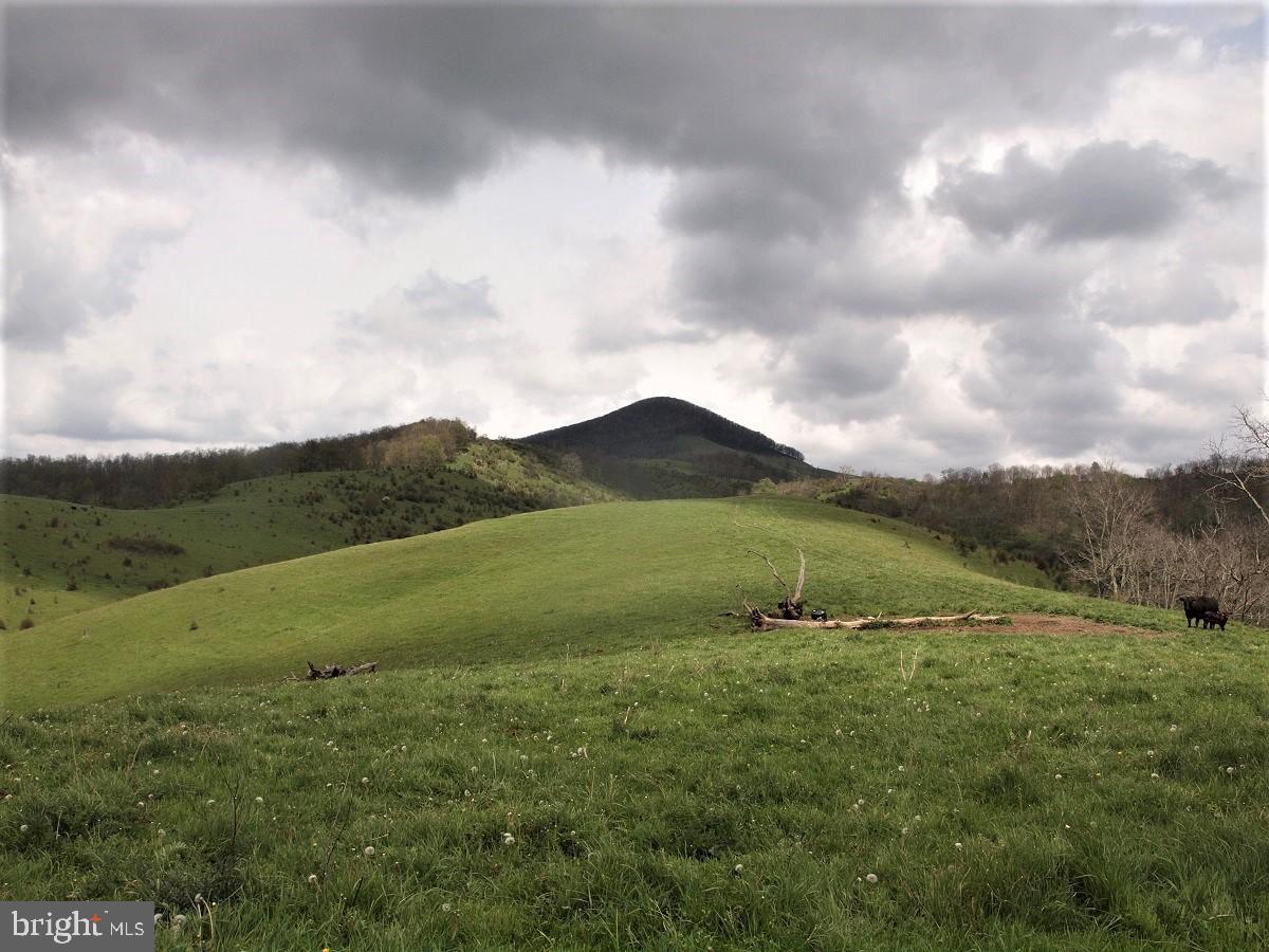 3465 HARDSCRABBLE ROAD, MONTEREY, Virginia 24465, 2 Bedrooms Bedrooms, ,Farm,For sale,3465 HARDSCRABBLE ROAD,VAHL2000070 MLS # VAHL2000070