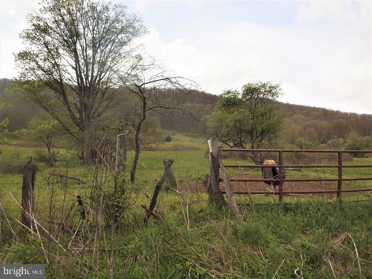 3465 HARDSCRABBLE ROAD, MONTEREY, Virginia 24465, 2 Bedrooms Bedrooms, ,Farm,For sale,3465 HARDSCRABBLE ROAD,VAHL2000070 MLS # VAHL2000070