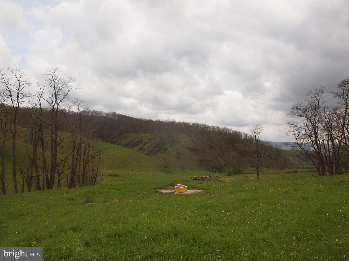 3465 HARDSCRABBLE ROAD, MONTEREY, Virginia 24465, 2 Bedrooms Bedrooms, ,Farm,For sale,3465 HARDSCRABBLE ROAD,VAHL2000070 MLS # VAHL2000070
