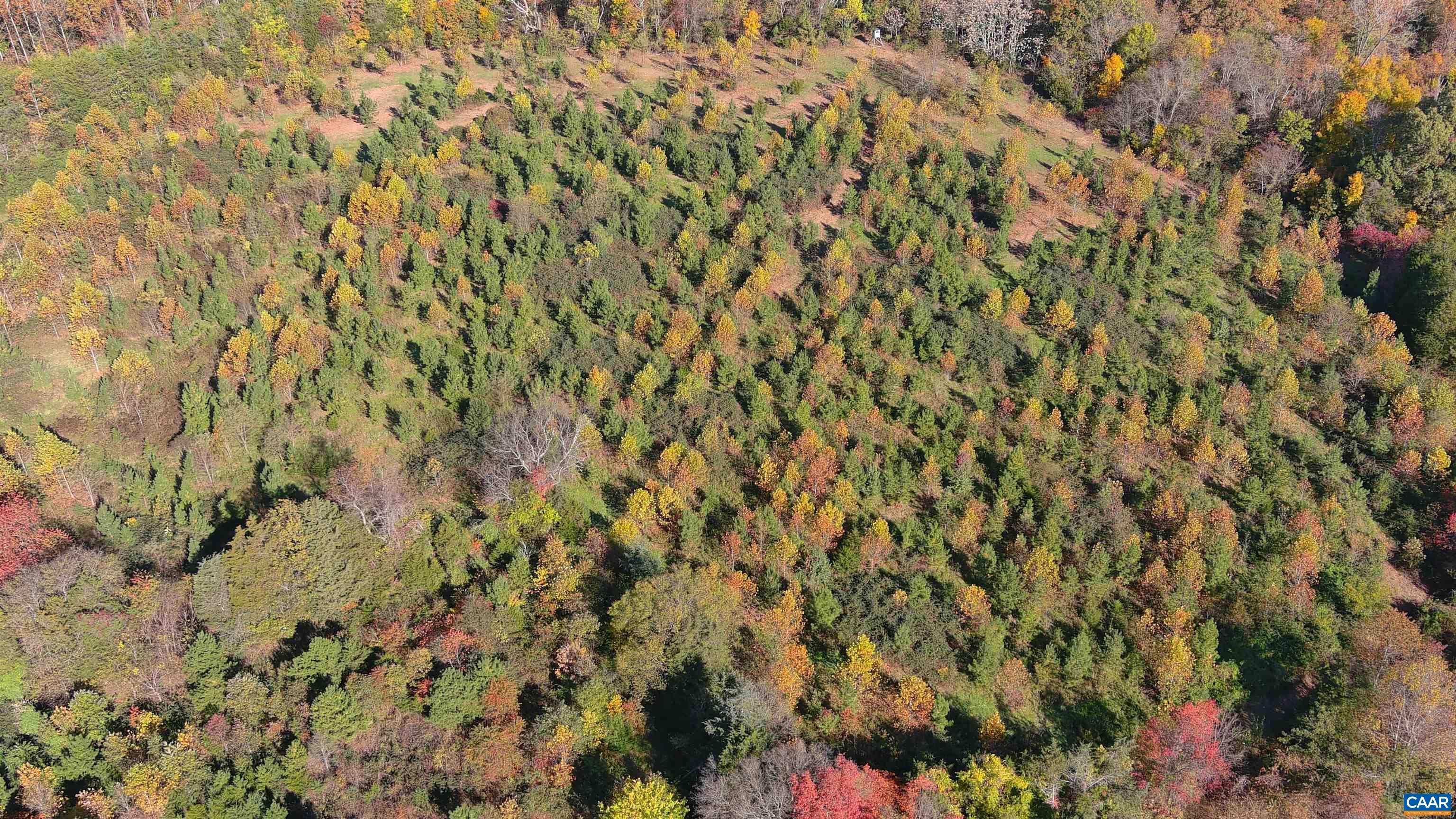 OLD BARBOURSVILLE RD, GORDONSVILLE, Virginia 22942, ,Farm,OLD BARBOURSVILLE RD,669789 MLS # 669789