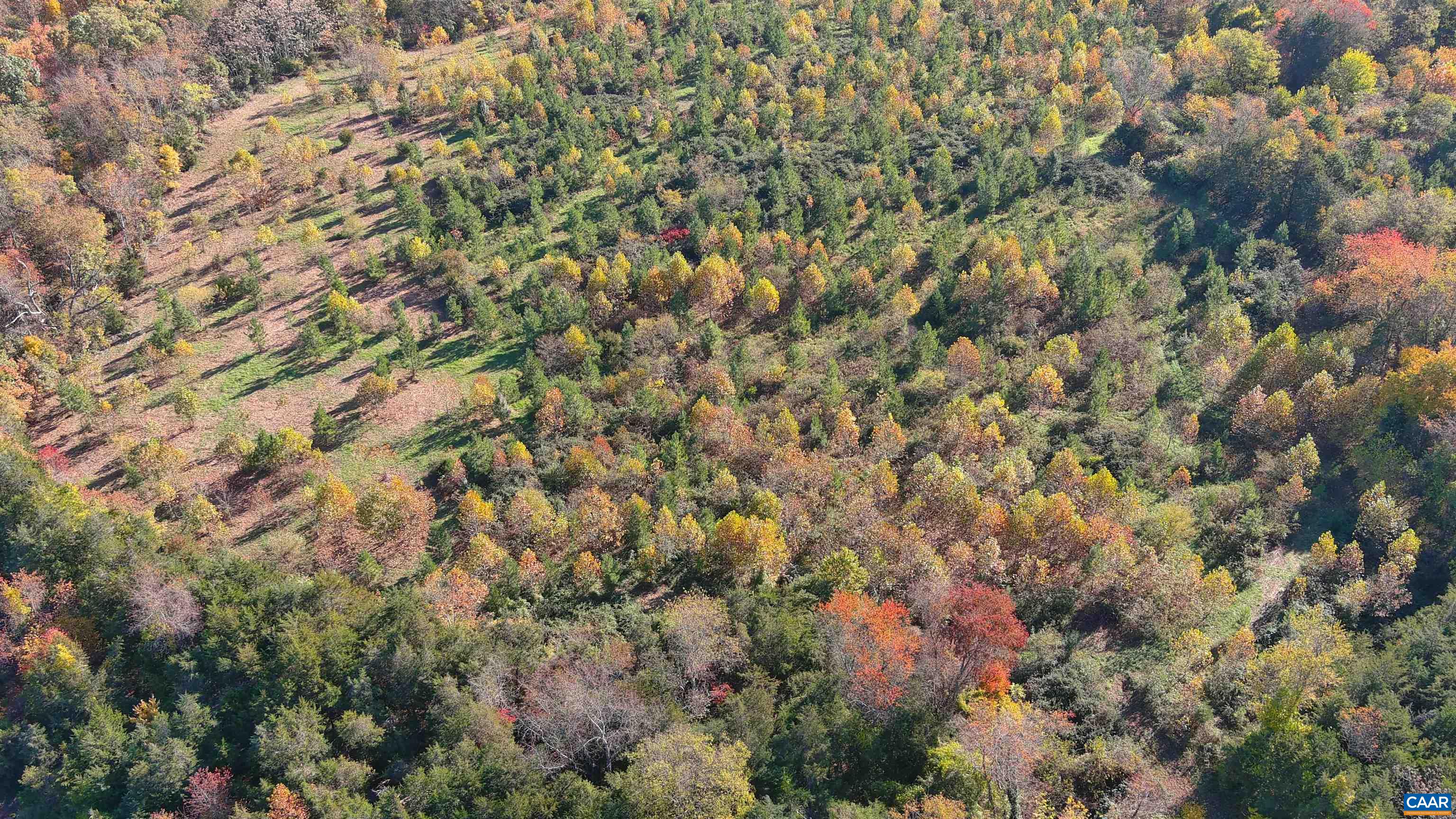 OLD BARBOURSVILLE RD, GORDONSVILLE, Virginia 22942, ,Farm,OLD BARBOURSVILLE RD,669789 MLS # 669789