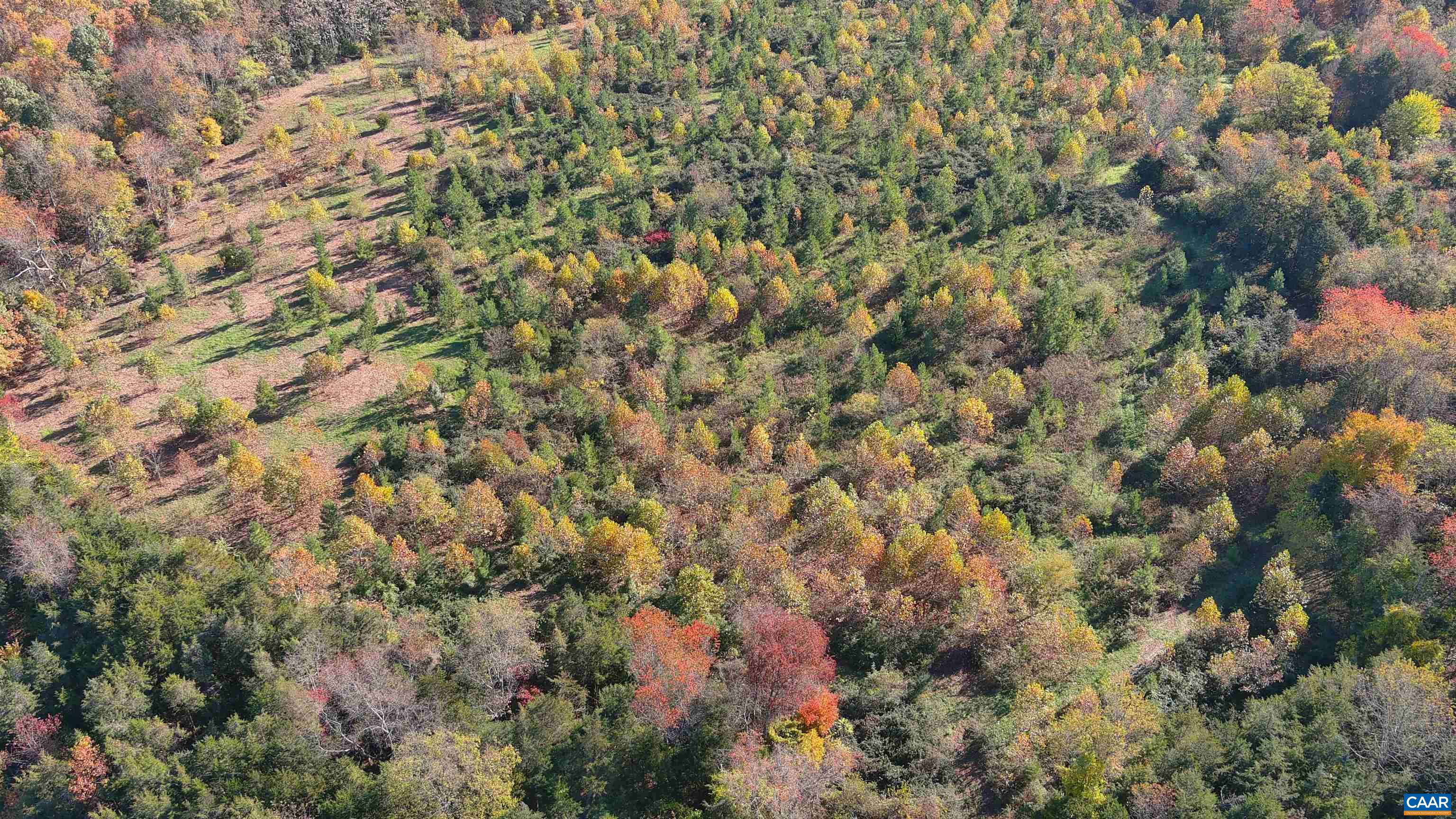 OLD BARBOURSVILLE RD, GORDONSVILLE, Virginia 22942, ,Farm,OLD BARBOURSVILLE RD,669789 MLS # 669789