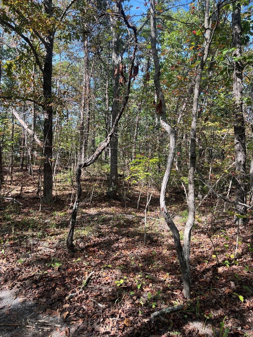 tbd GERTIES LN, STUARTS DRAFT, Virginia 24477, ,Land,tbd GERTIES LN,669800 MLS # 669800