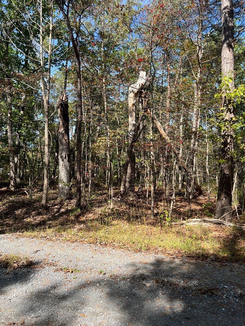 tbd GERTIES LN, STUARTS DRAFT, Virginia 24477, ,Land,tbd GERTIES LN,669800 MLS # 669800