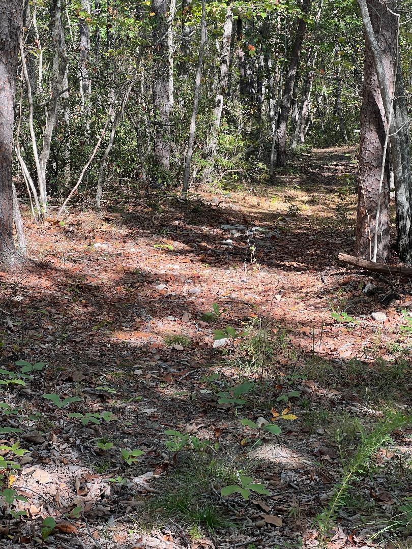 tbd GERTIES LN, STUARTS DRAFT, Virginia 24477, ,Land,tbd GERTIES LN,669800 MLS # 669800