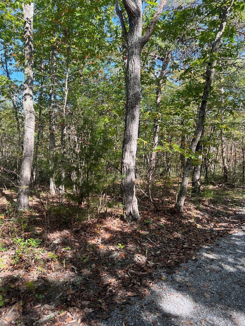 tbd GERTIES LN, STUARTS DRAFT, Virginia 24477, ,Land,tbd GERTIES LN,669800 MLS # 669800