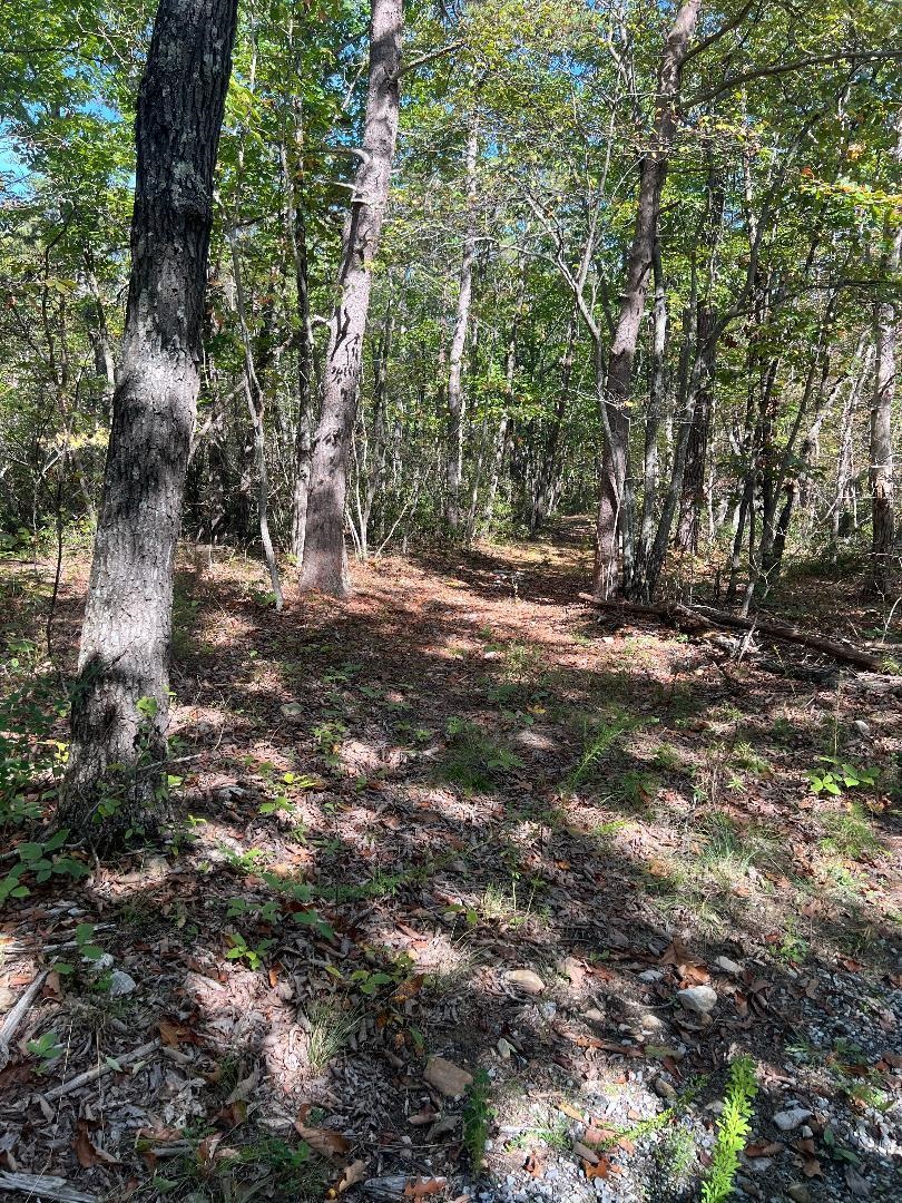 tbd GERTIES LN, STUARTS DRAFT, Virginia 24477, ,Land,tbd GERTIES LN,669800 MLS # 669800