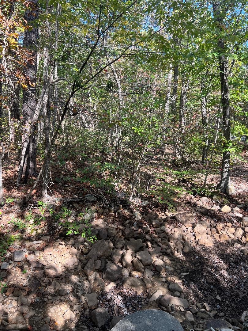 tbd GERTIES LN, STUARTS DRAFT, Virginia 24477, ,Land,tbd GERTIES LN,669800 MLS # 669800