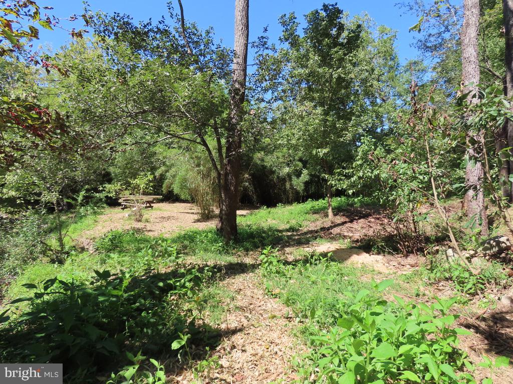 TIGER VALLEY RD, WASHINGTON, Virginia 22747, ,Land,For sale,TIGER VALLEY RD,VARP2002288 MLS # VARP2002288