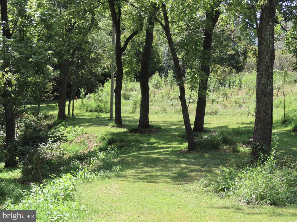 TIGER VALLEY RD, WASHINGTON, Virginia 22747, ,Land,For sale,TIGER VALLEY RD,VARP2002288 MLS # VARP2002288