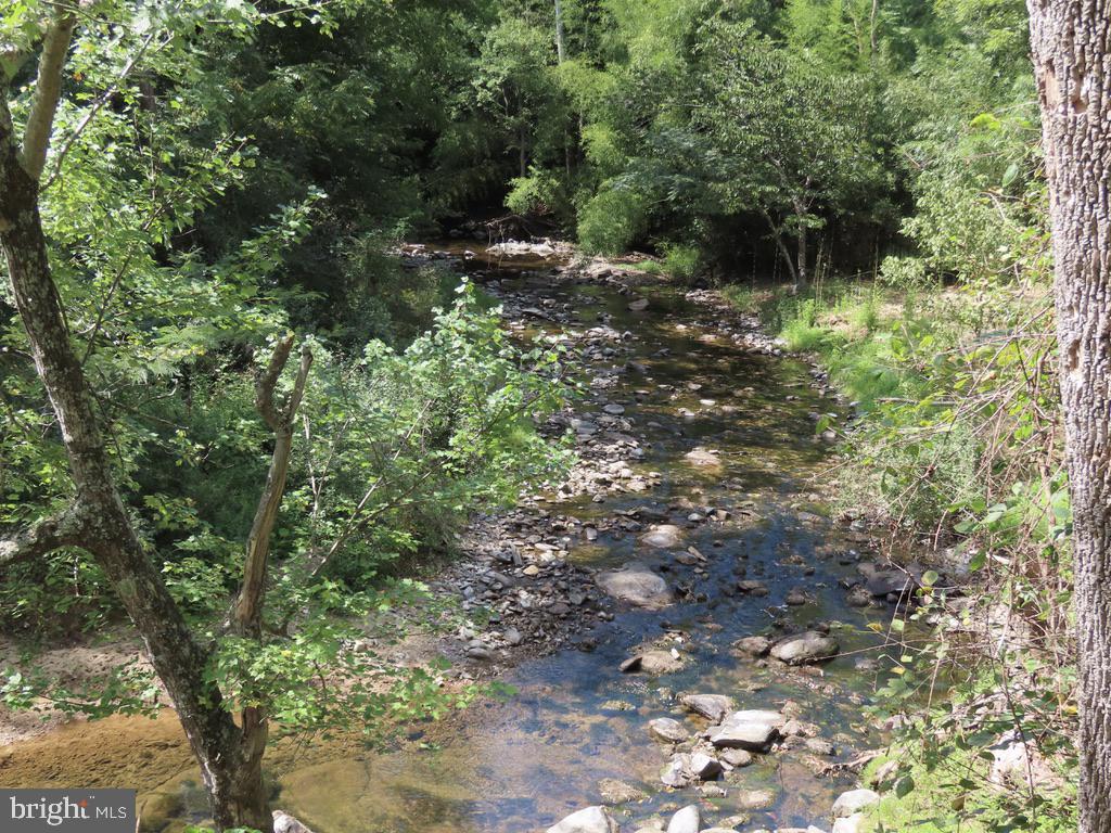 TIGER VALLEY RD, WASHINGTON, Virginia 22747, ,Land,For sale,TIGER VALLEY RD,VARP2002288 MLS # VARP2002288