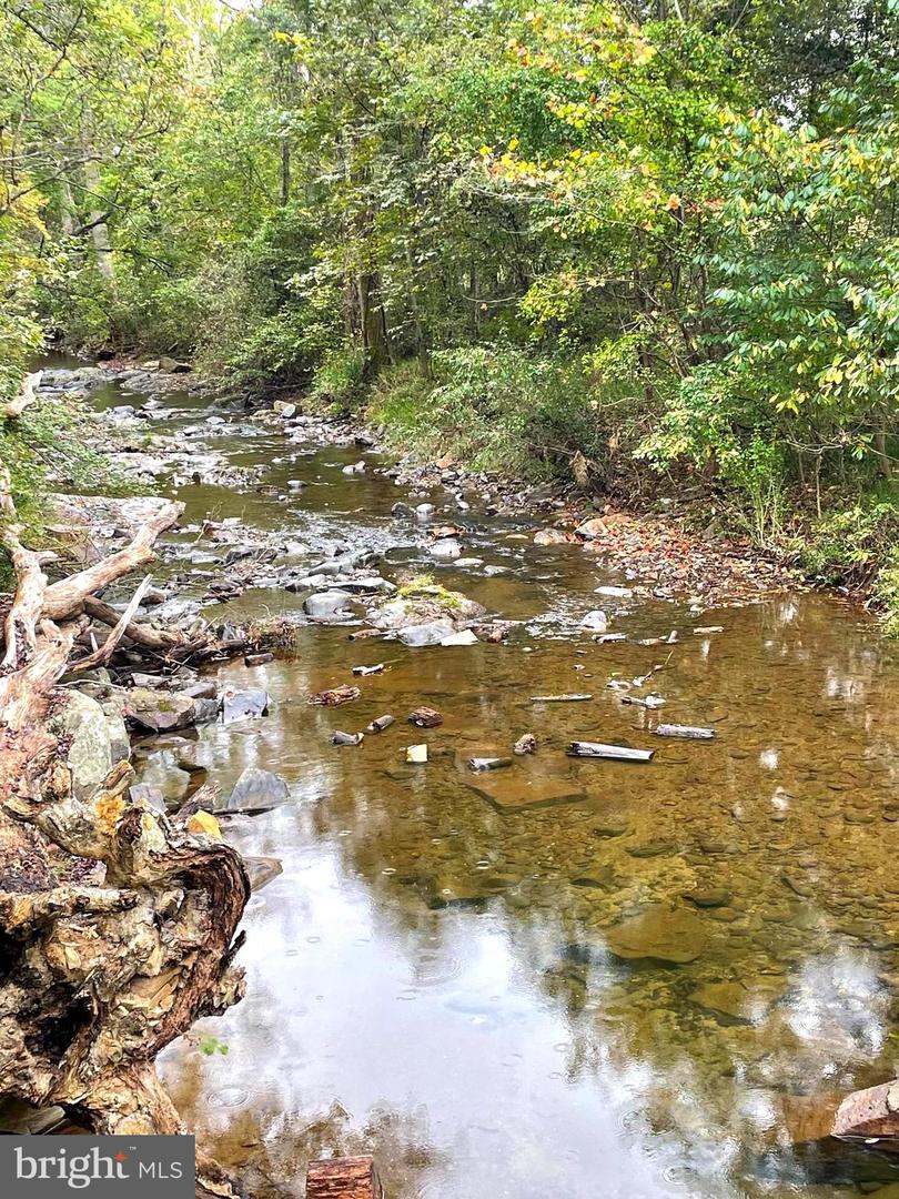 TIGER VALLEY RD, WASHINGTON, Virginia 22747, ,Land,For sale,TIGER VALLEY RD,VARP2002288 MLS # VARP2002288