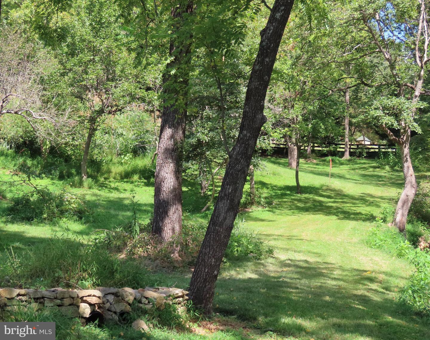 TIGER VALLEY RD, WASHINGTON, Virginia 22747, ,Land,For sale,TIGER VALLEY RD,VARP2002288 MLS # VARP2002288