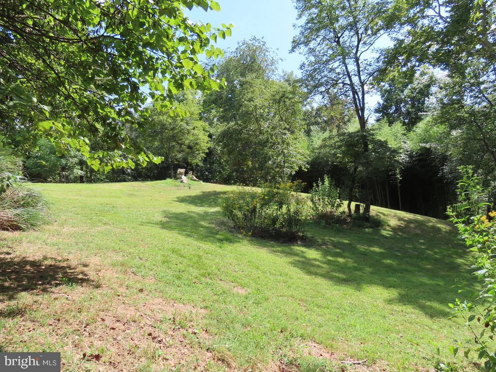 TIGER VALLEY RD, WASHINGTON, Virginia 22747, ,Land,For sale,TIGER VALLEY RD,VARP2002288 MLS # VARP2002288