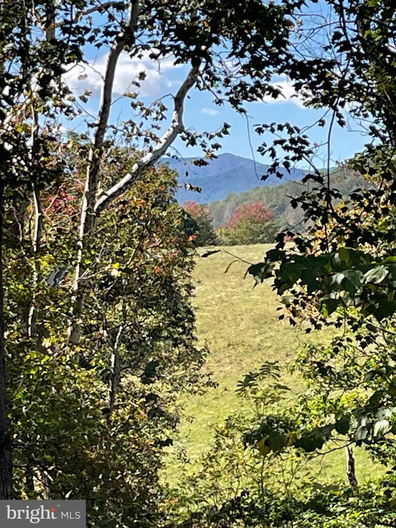 TIGER VALLEY RD, WASHINGTON, Virginia 22747, ,Land,For sale,TIGER VALLEY RD,VARP2002288 MLS # VARP2002288